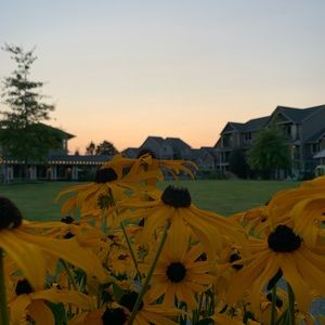 Meet your Posher, Eugene